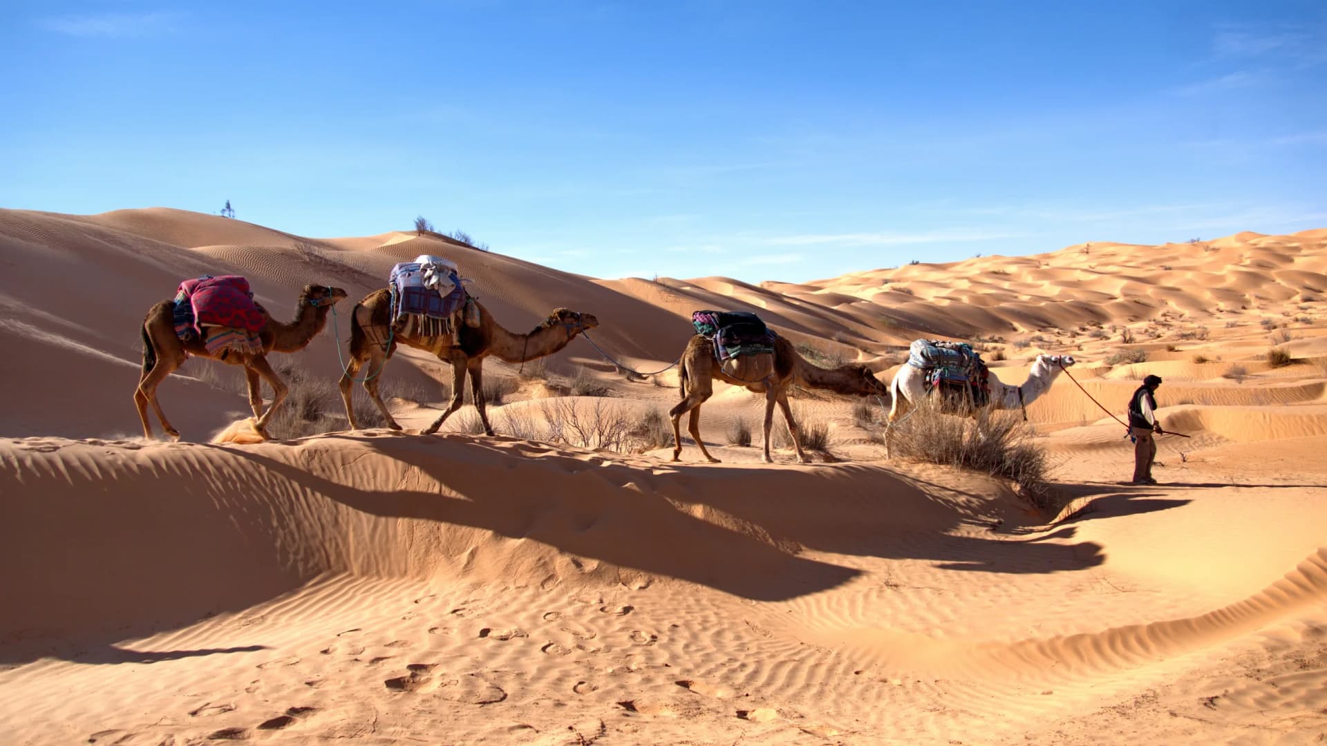Rondreis door de Sahara in Tunesië